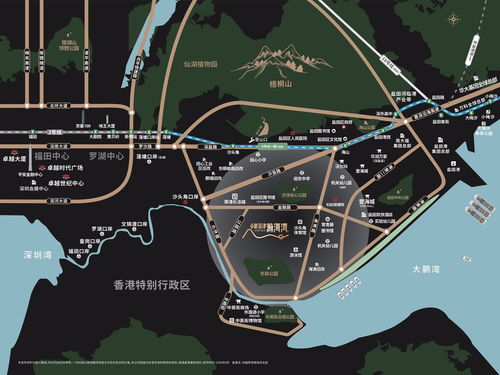 揭开亲子鉴定费用的神秘面纱，了解其价值与影响