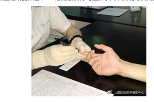 揭开亲子鉴定费用的神秘面纱，了解其价值与影响