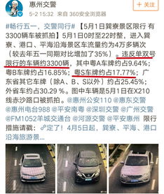 惠州市交通违章查询，便捷方式与注意事项