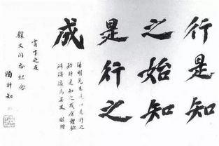 启蒙法律智慧，三年级学生必知的法律知识名言警句