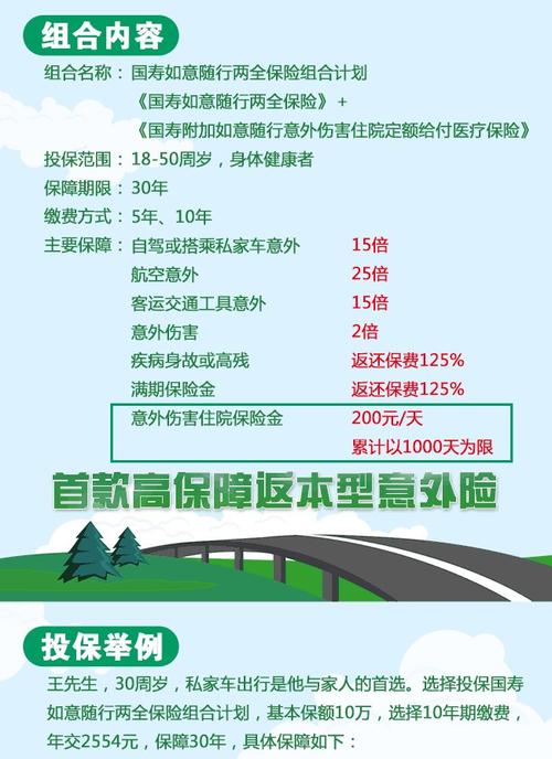 国寿鸿盈两全保险，全面解读与投资指南