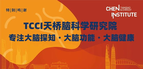 理事会，社区的心脏，决策的大脑