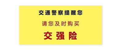 全面解析平安机动车辆保险，保障您的行车安全
