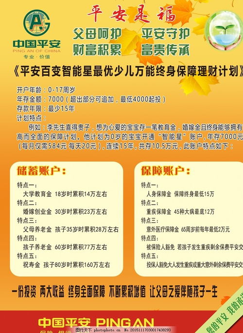 全面解析平安机动车辆保险，保障您的行车安全