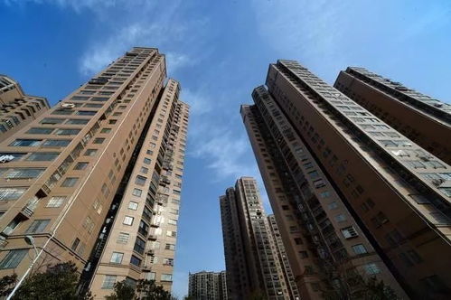 西青区房管局，房产管理的守护者