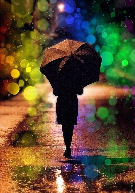 智慧的灯塔，法律警句经典语录大全