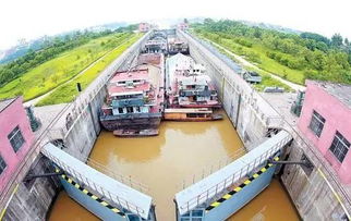 上海河道管理费，维护城市水脉的隐形英雄