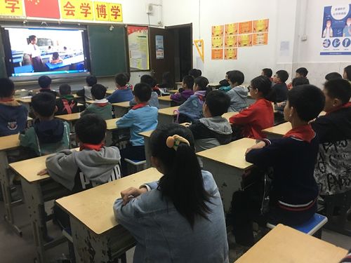 法治直播课堂，教育新风尚，法律知识普及的创新途径