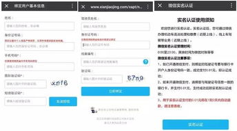 阜新汽车违章查询，如何高效便捷地管理您的交通违章记录