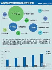 股份制公司，现代企业制度的基石与挑战