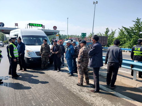 河南驾驶证违章查询，守护您的驾驶安全与信用