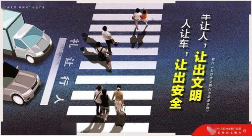 红灯前的抉择，一位姑娘的交通规则意识启示