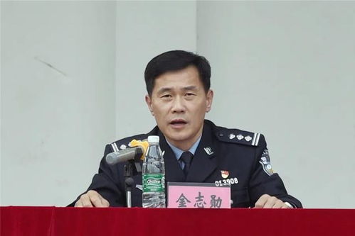 揭秘雨花区公安分局，副局长人数的奥秘