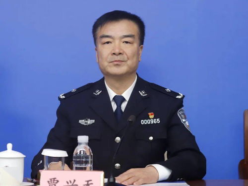 守护社区的超级英雄，雨花区公安分局副局长的日常