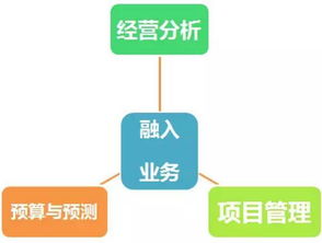 掌握财务会计制度，企业稳健发展的金钥匙