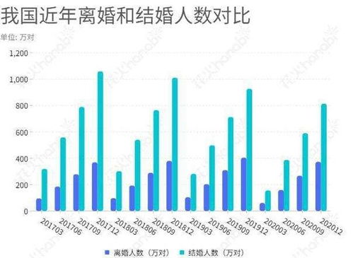 婚姻的十字路口，全国离婚率的现实与影响