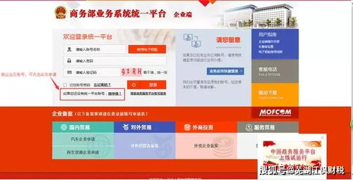 对外贸易经营者备案，开启国际贸易之门的钥匙