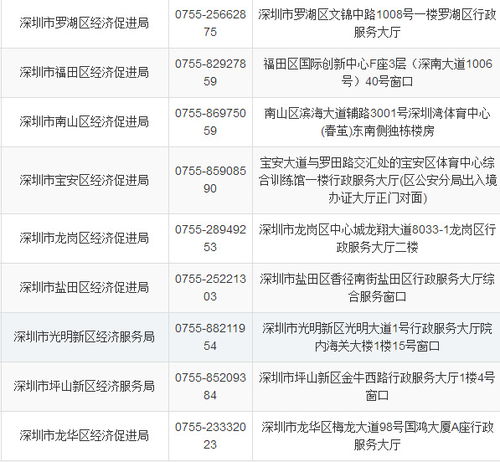 对外贸易经营者备案，开启国际贸易之门的钥匙