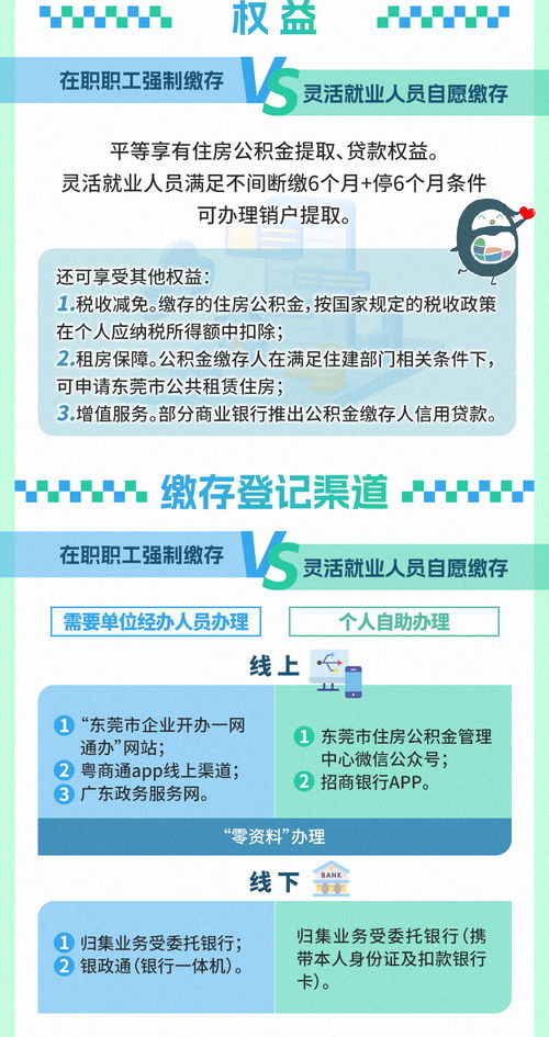 东莞住房公积金查询指南，如何轻松掌握您的公积金信息