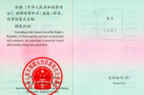 采购师国家职业标准，行业规范与职业发展的新纪元