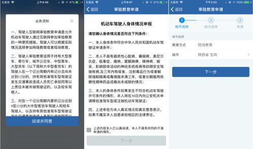轻松掌握，如何查车辆违章记录的详细指南