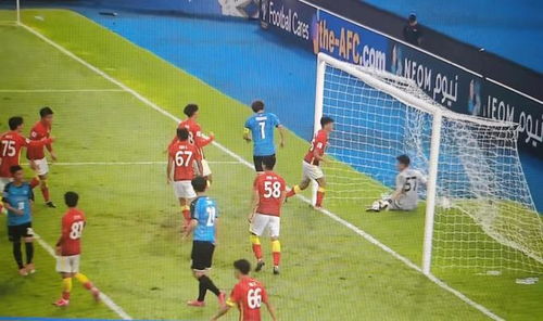 中国商检局，守护贸易之门的守门员