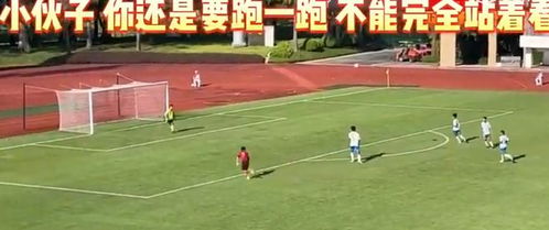 中国商检局，守护贸易之门的守门员