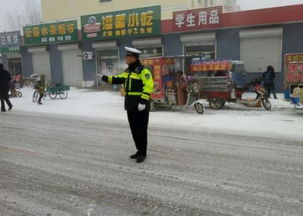 廊坊市公安局，守护市民安全的坚实盾牌