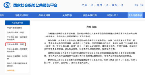 如何申请失业补助金，详细指南与实用建议