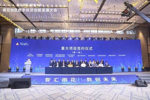 探索正义的数字桥梁，雨花区法院官网的便捷与力量