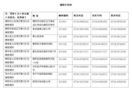 衡阳养老保险查询，全面了解与操作指南