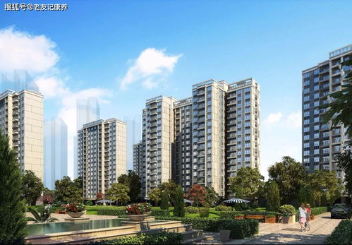 弋阳房屋出租，探索城市生活新选择