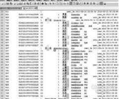 身份证号码查询姓名，隐私保护与技术边界的探讨