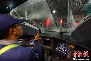 温州动车事故，深刻反思与安全出行的启示