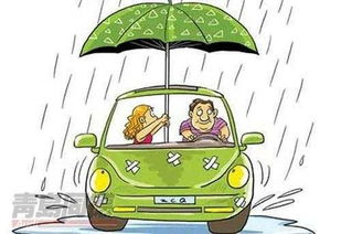 锦湖轮胎召回事件，安全驾驶的关键与预防措施