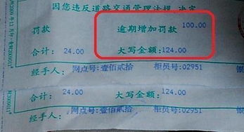 灵活应对，掌握营业执照年检延期申请的艺术