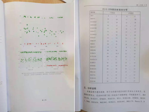 揭开DNA亲子鉴定的神秘面纱，费用、流程与社会影响