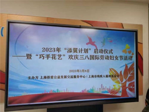 共融共生，探索残疾人就业基金的创新路径与社会价值