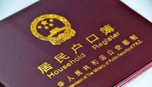 人口普查与上户口，了解国家统计与个人身份的关键步骤