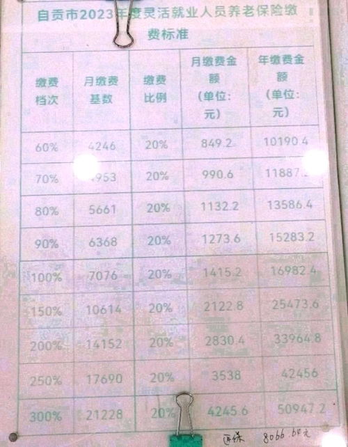 揭开社保与五险一金的神秘面纱，你的工资单上的秘密