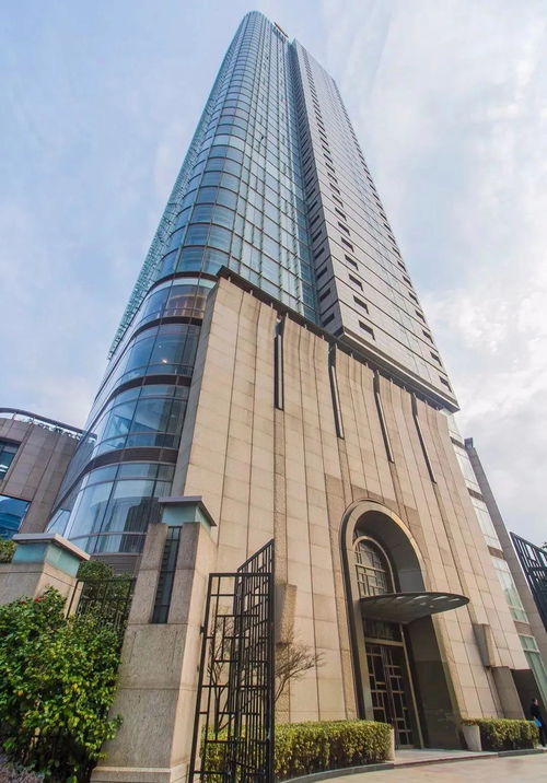 重塑身份，探索改名背后的深层理由与社会影响