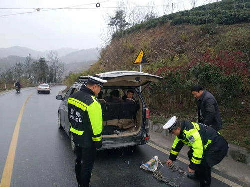 湖北交通事故，预防与应对指南