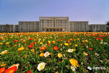 隆化房屋出租，深入了解市场动态与租赁策略