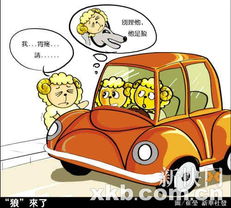 上海钓鱼执法事件，法治与道德的双重考验