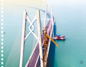 汕头市地方税务局，税收服务与地方经济发展的桥梁