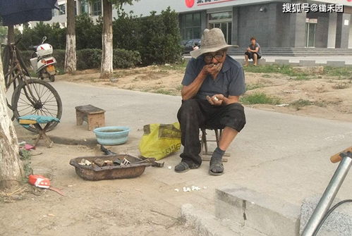 农民养老保险，保障农村老年生活的桥梁