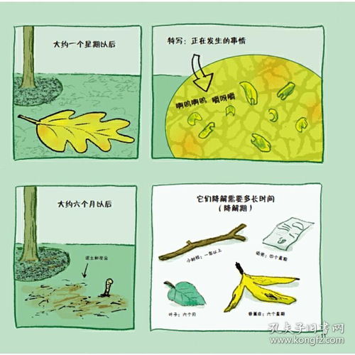 白色污染，环境危机与应对策略