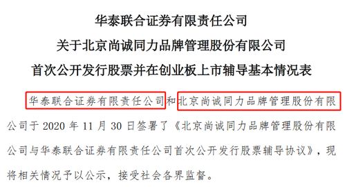 如何填写主要社会关系，一份详尽指南