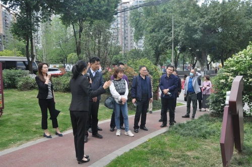 探索南京市雨花台区司法局，法律服务与社区治理的桥梁