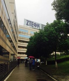 探索南京市雨花台区司法局，法律服务与社区治理的桥梁